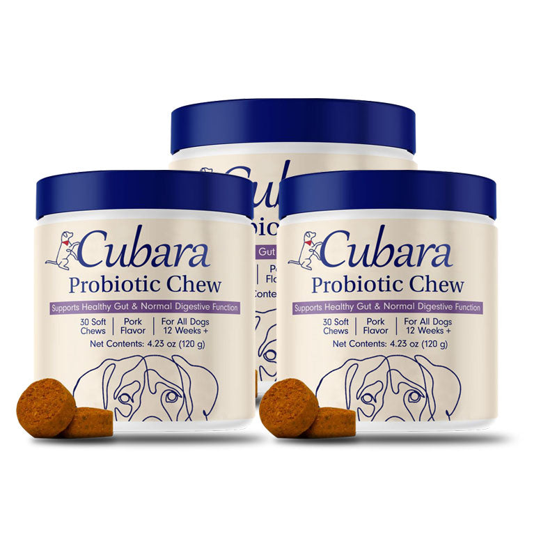 Probiotics for Dogs