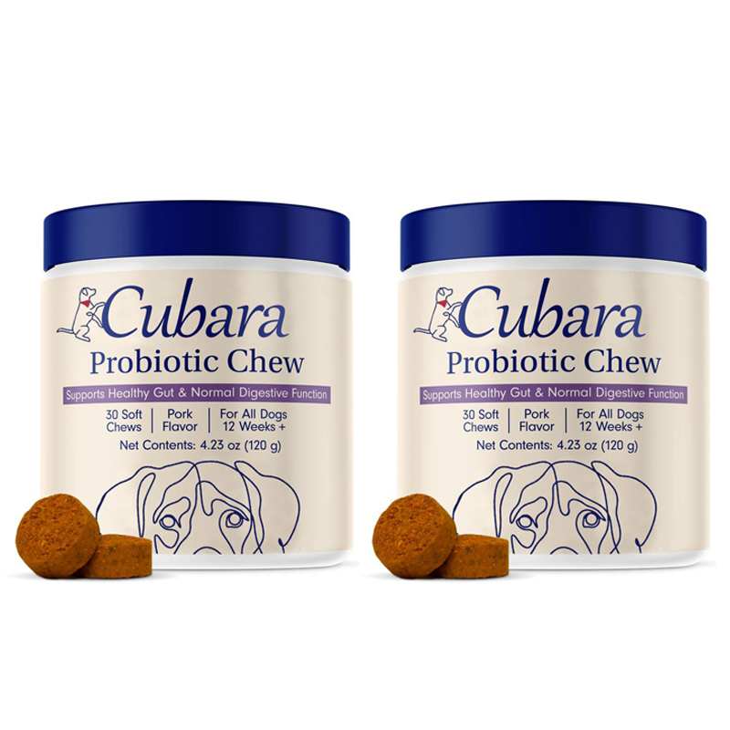 Probiotics for Dogs