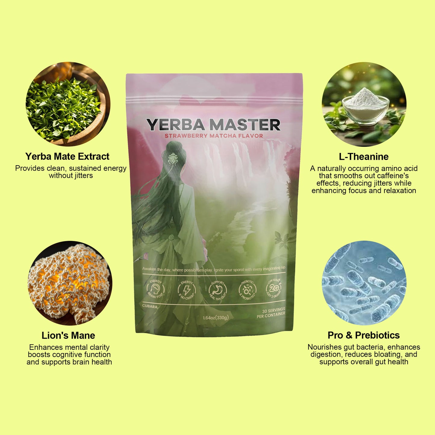 Yerba Mate Instant Tea Powder